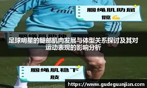 足球明星的腿部肌肉发展与体型关系探讨及其对运动表现的影响分析